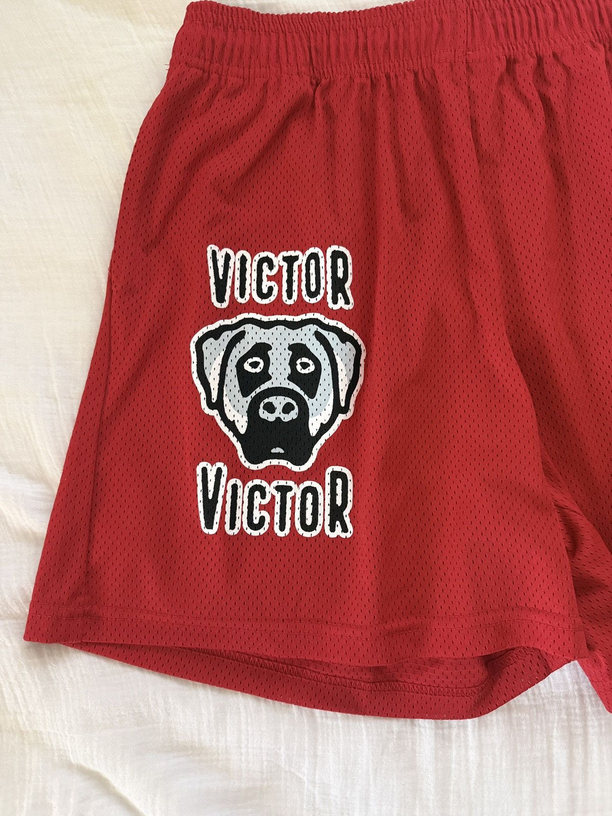 Eric Emanuel × Matty Boy Eric Emanuel victor victor shorts Size US 34 / EU 50 - 1 Thumbnail