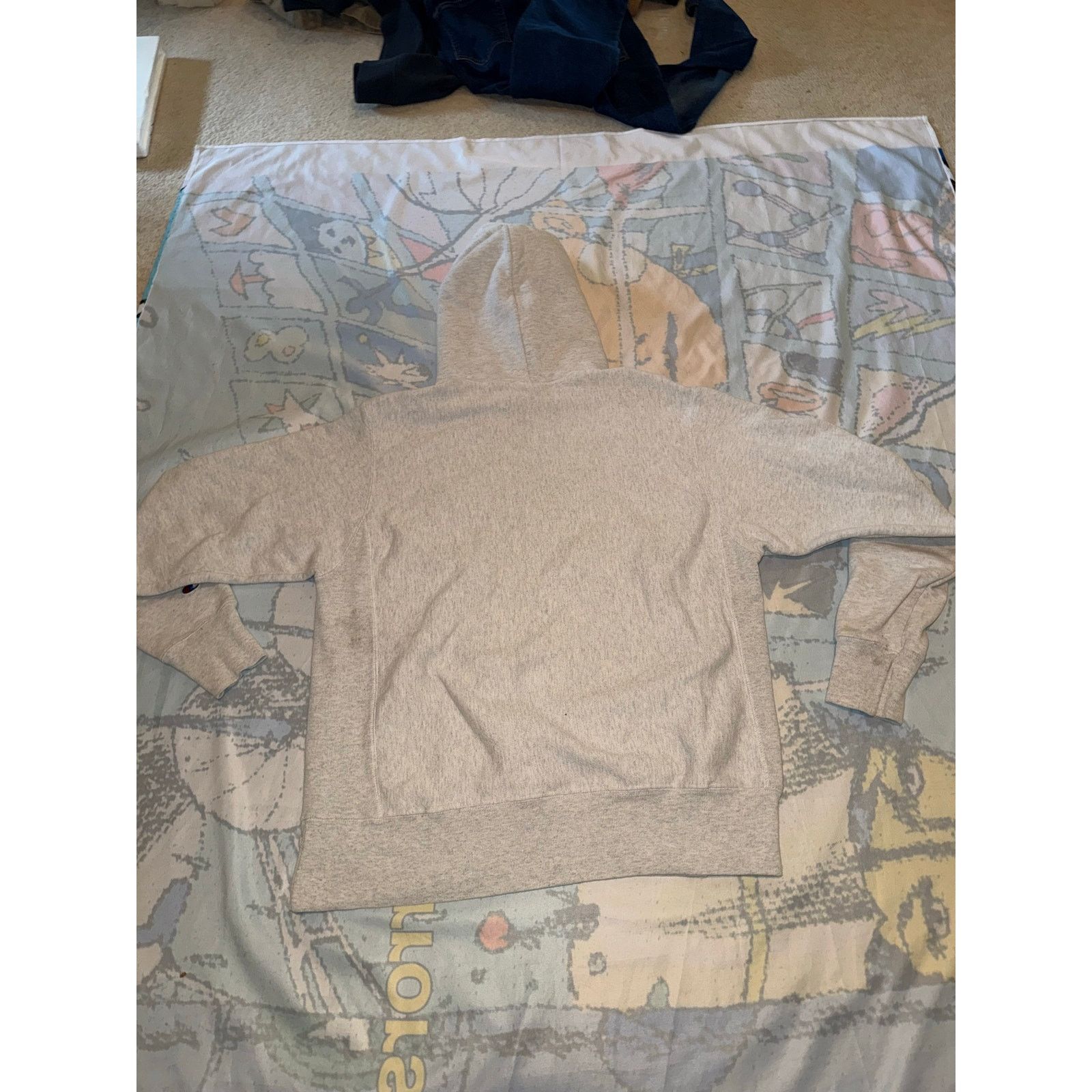 Champion Champion Hoodie with Minor Stain Size US M / EU 48-50 / 2 - 3 Thumbnail