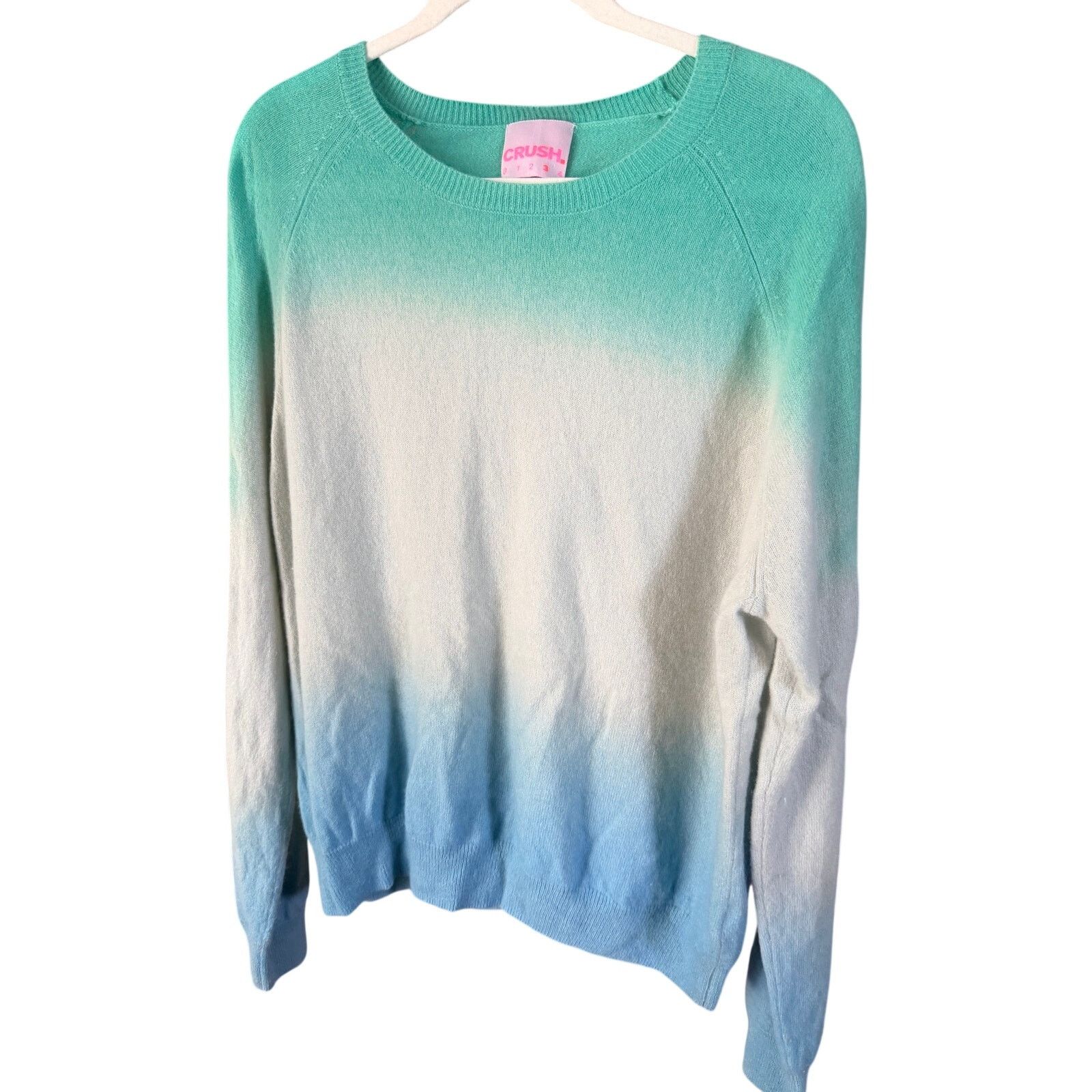 Autumn Cashmere 0266 Crush Cashmere 100% Cashmere OmbreCrewneck Size 3 Large Size L / US 10 / IT 46 - 1 Thumbnail