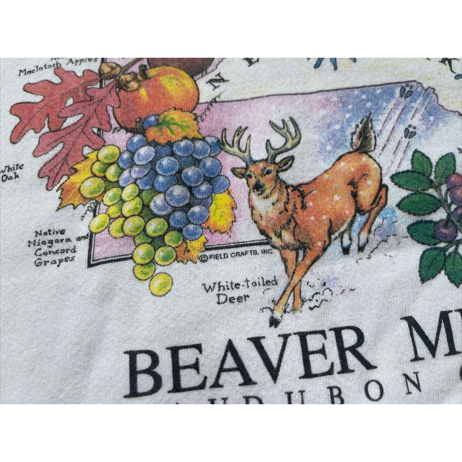 Jerzees Vintage 80s Small Beaver Meadow New York State Park Crewneck Size US S / EU 44-46 / 1 - 5 Thumbnail