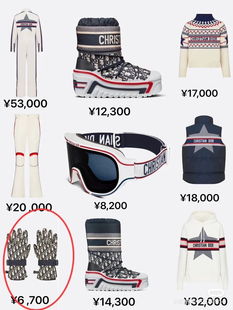 Dior DiorBlue full-print OBLIQUE ski gloves 2503-Nextarrow Size ONE SIZE - 8 Thumbnail