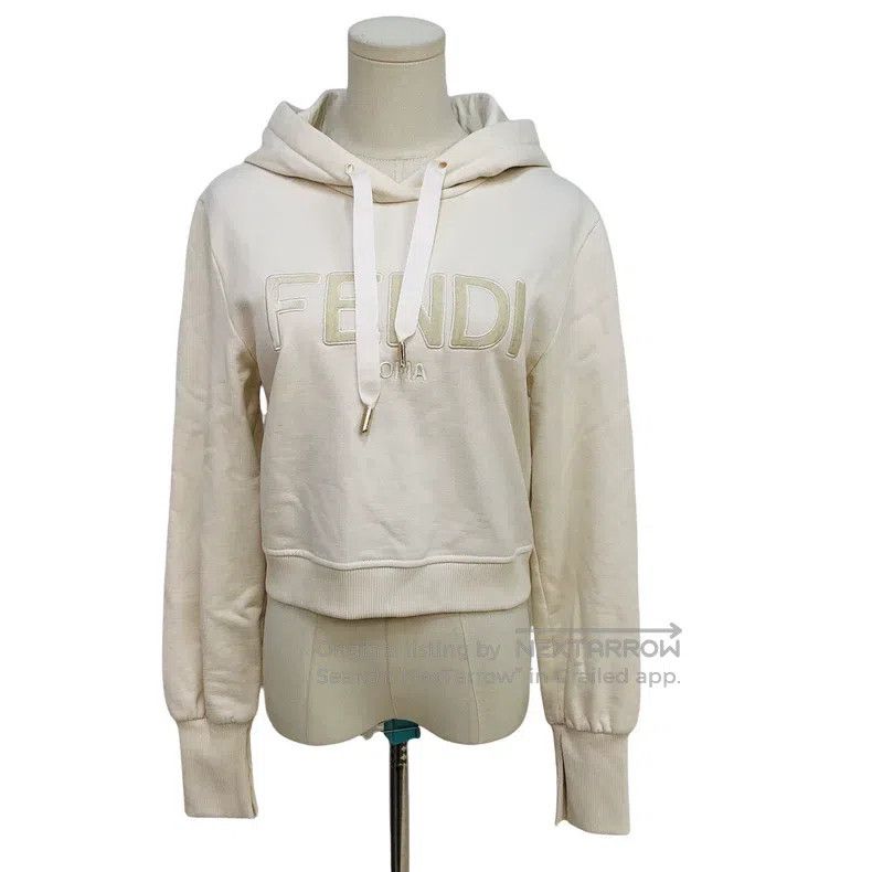 Fendi Fendi Velvet Big Logo Hoodie Size S / US 4 / IT 40 - 1 Thumbnail