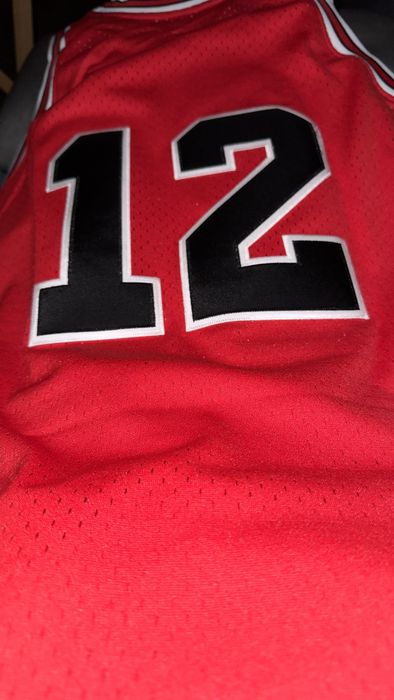 jordan 12 jersey