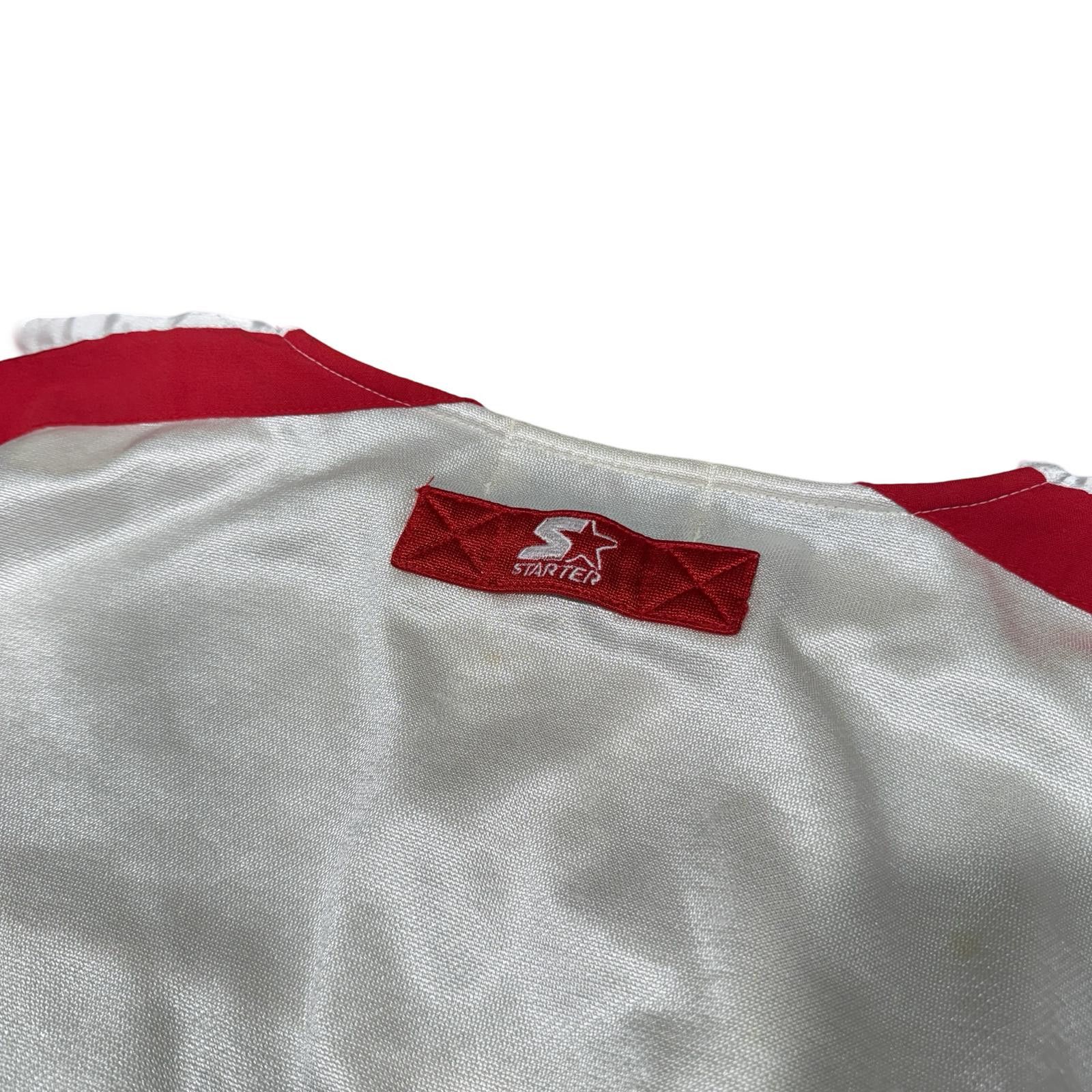 Starter Vintage Starter Detroit Red Wings NHL Crewneck Sweatshirt Size US L / EU 52-54 / 3 - 7 Thumbnail