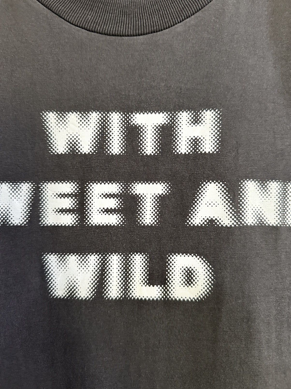 Vintage Thrashed Vintage 90s WITH SWEET AND WILD Sun Faded Tee Size US L / EU 52-54 / 3 - 5 Thumbnail
