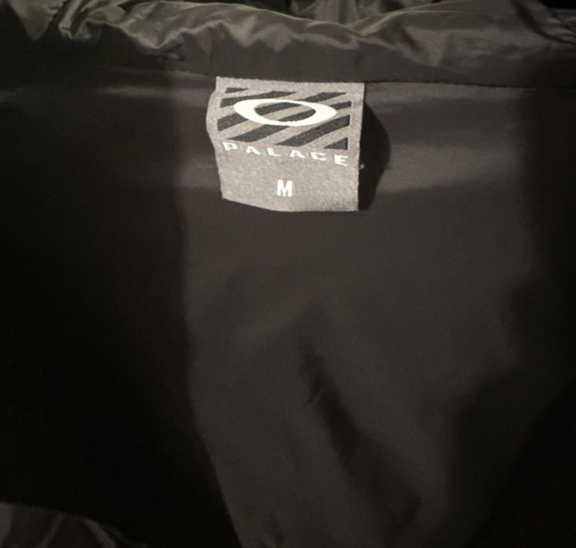 Oakley × Palace Oakley Palace Puffa Size US M / EU 48-50 / 2 - 5 Thumbnail