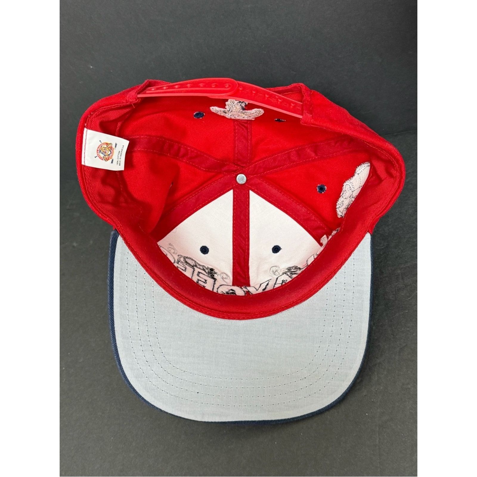 NHL Vintage Florida Panthers Hat 1996 Year of Rat Snapback RARE Size ONE SIZE - 5 Thumbnail