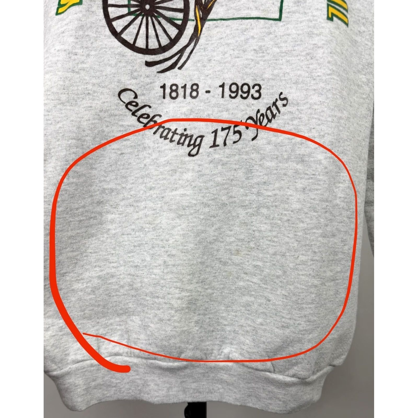 Fruit Of The Loom VINTAGE Fruit of the Loom Sweatshirt Mens Large Raglan Gray Illinois 90s Genture Graphics Print Crew Neck Pullover Size US L / EU 52-54 / 3 - 5 Thumbnail