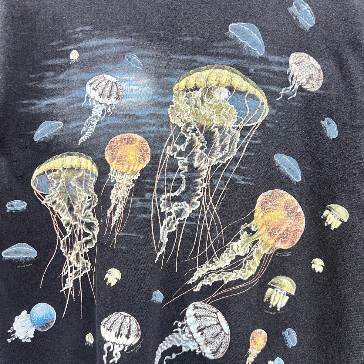 Habitat × Vintage VTG JELLYFISH TEE Size US L / EU 52-54 / 3 - 2 Thumbnail
