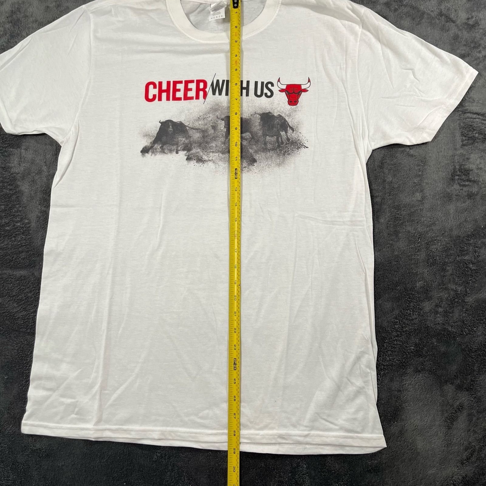 Gildan Chicago Bulls NBA T Shirt Sportswear Streetwear Sz L Size US L / EU 52-54 / 3 - 6 Thumbnail