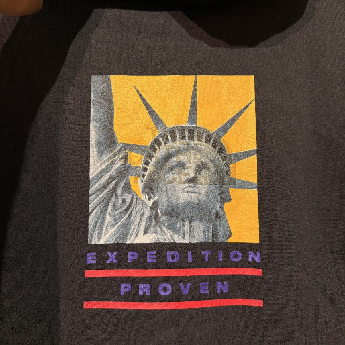 Supreme × The North Face Supreme x The North Face TNF Statue of Liberty Size US M / EU 48-50 / 2 - 3 Thumbnail