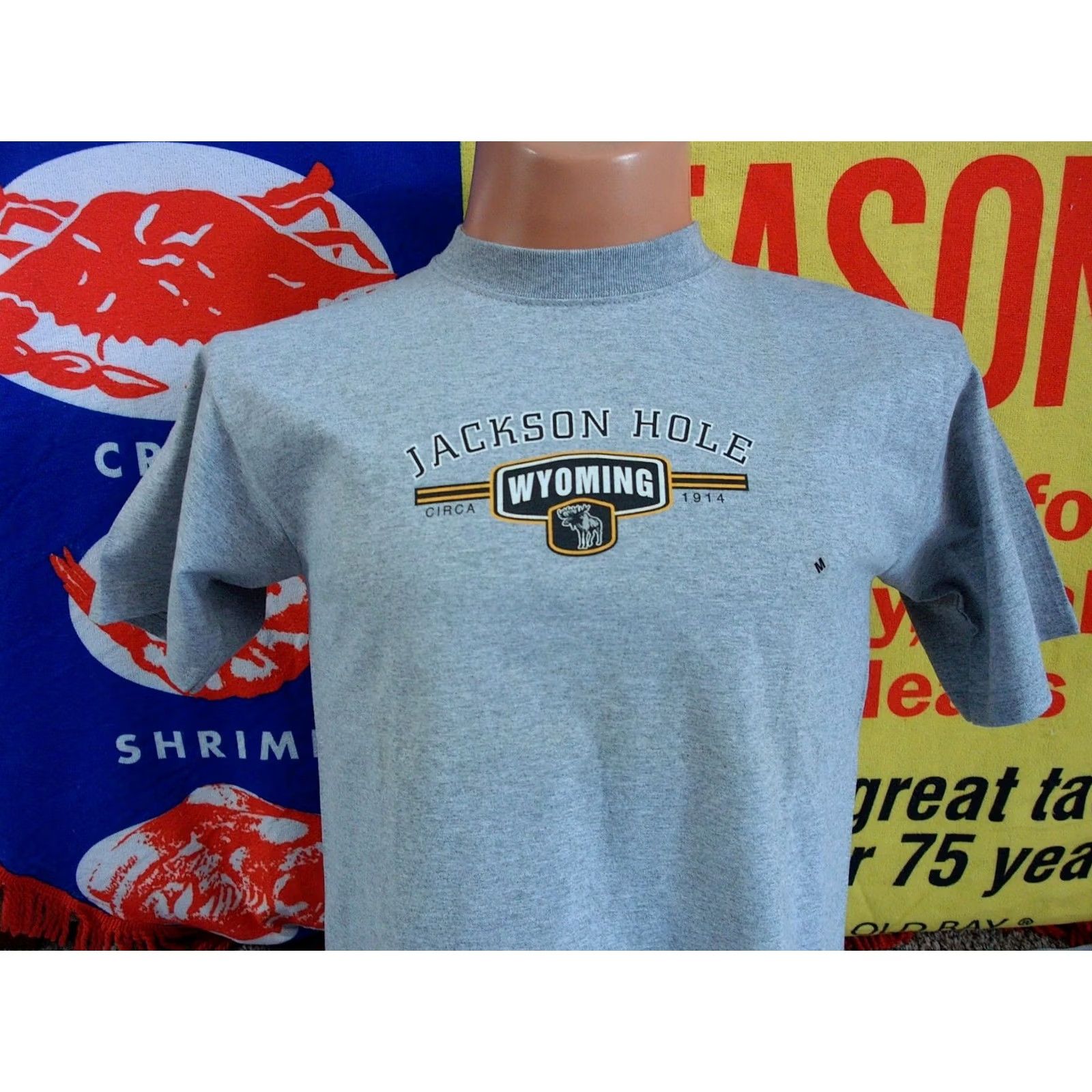 Anvil JACKSON HOLE Wyoming MOUNTAIN RESORT Gros Ventre Teton VTG Shirt Men's Medium Size US M / EU 48-50 / 2 - 2 Thumbnail
