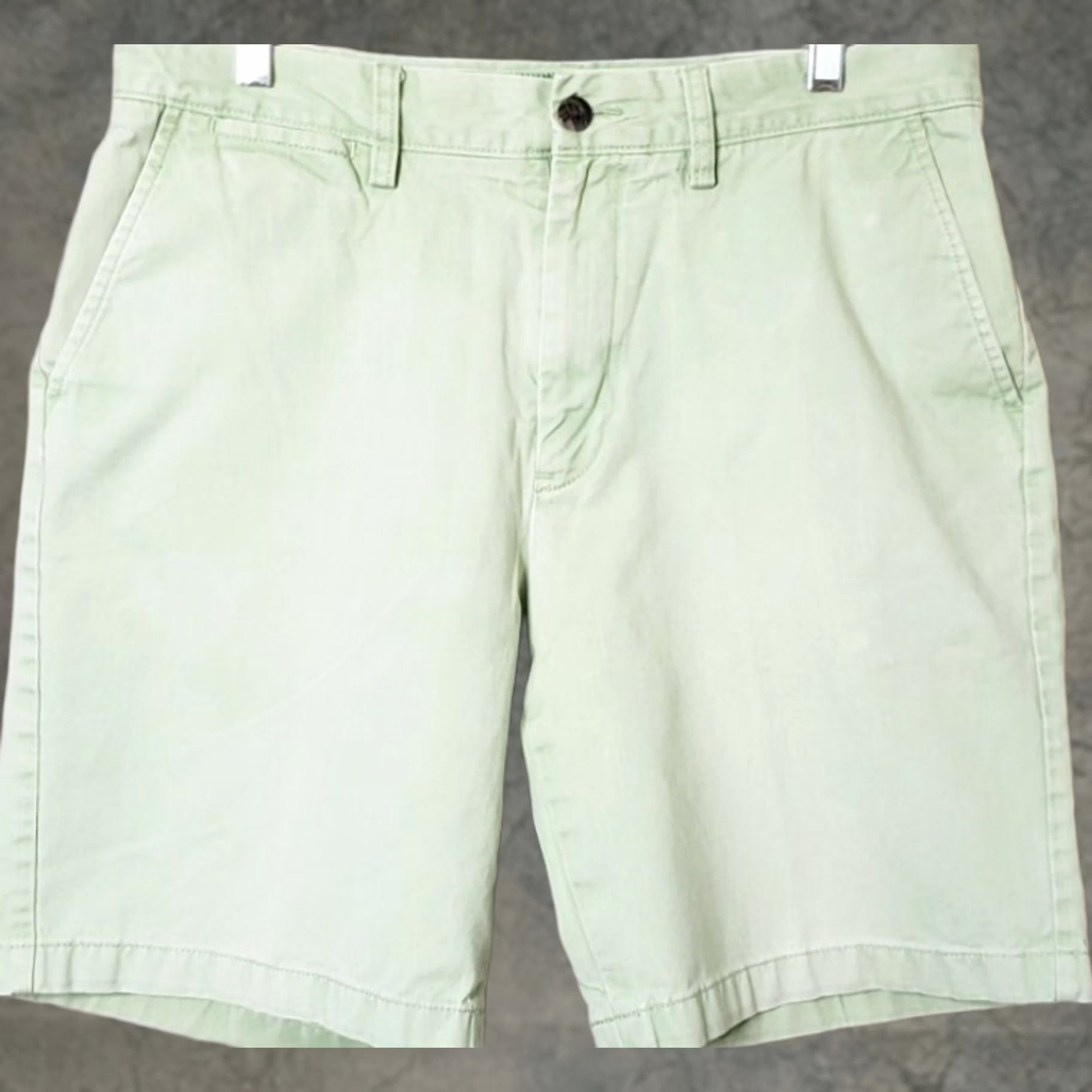 Nautica Nautica Classic Fit Men's Shorts 33" Waist 9" Inseam Mint Green 100% Cotton EUC Shorts Mens Regular Waist 33 Green Mint NAUTICA Size US 33 - 1 Thumbnail