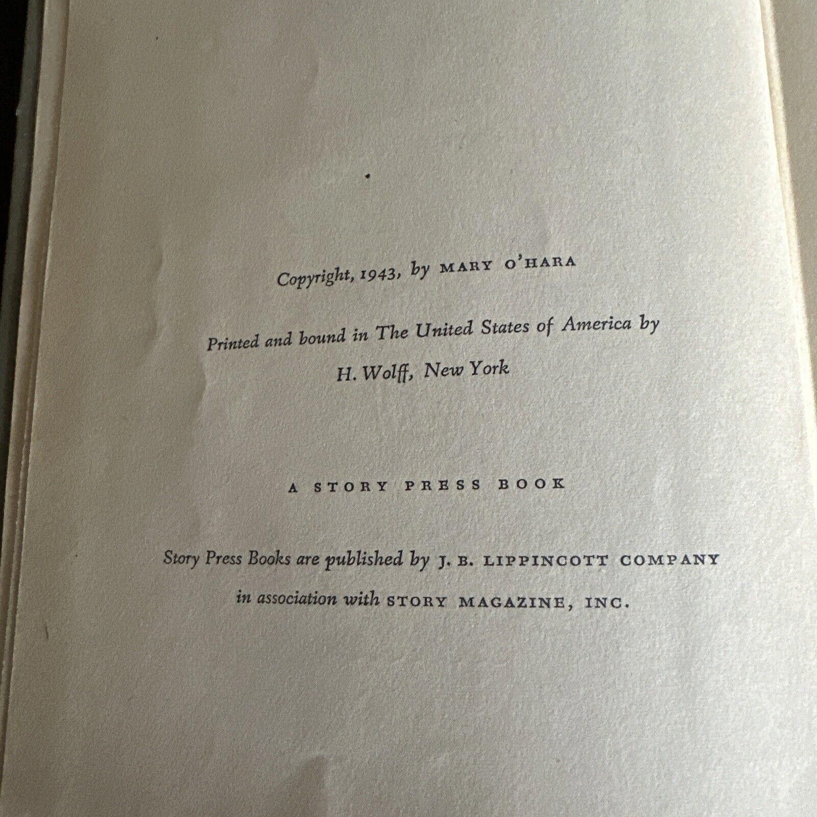 Designer Thunderhead by Mary O'Hara (1943, Hardcover) Size ONE SIZE - 5 Thumbnail
