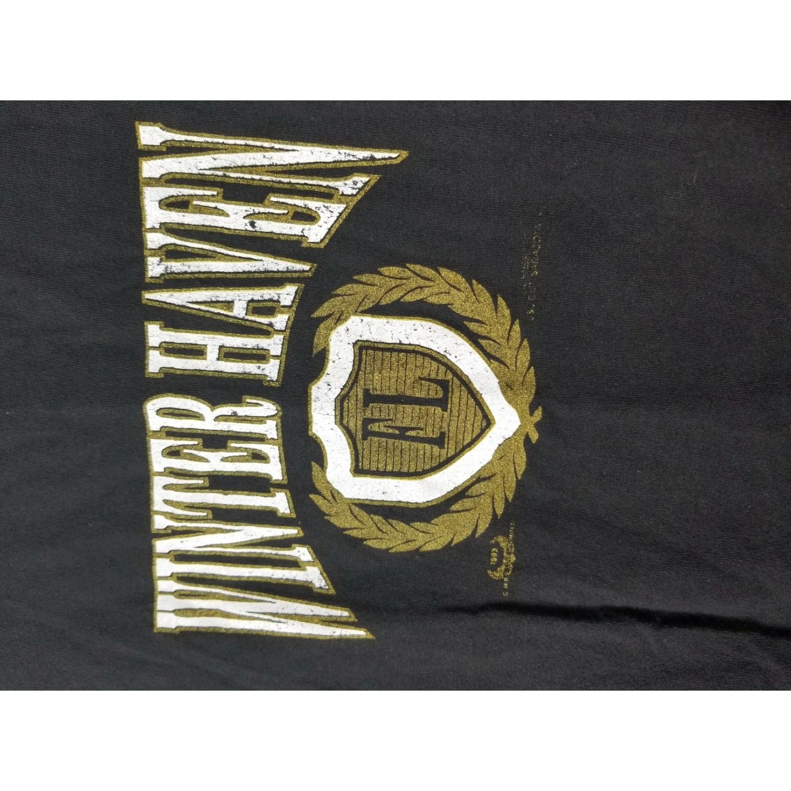 Nutmeg VTG 80s Mens L T Shirt Travel Souvenir Winter Haven FL Black USA Single Stitch Cotton Crew Neck Short Sleeve Nutmeg Brand Size US L / EU 52-54 / 3 - 3 Thumbnail
