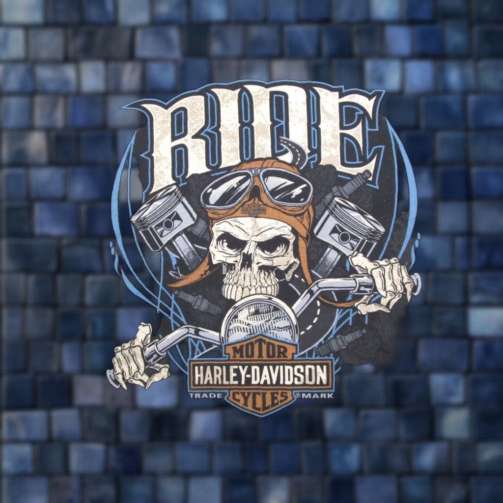Harley Davidson Harley-Davidson Shirt Harley-Davidson Skeleton Skull Ride Fairbanks Alaska Shirt XL Multicolor Cotton Crew Neck Short Sleeve Biker Mens Size US XL / EU 56 / 4 - 1 Thumbnail