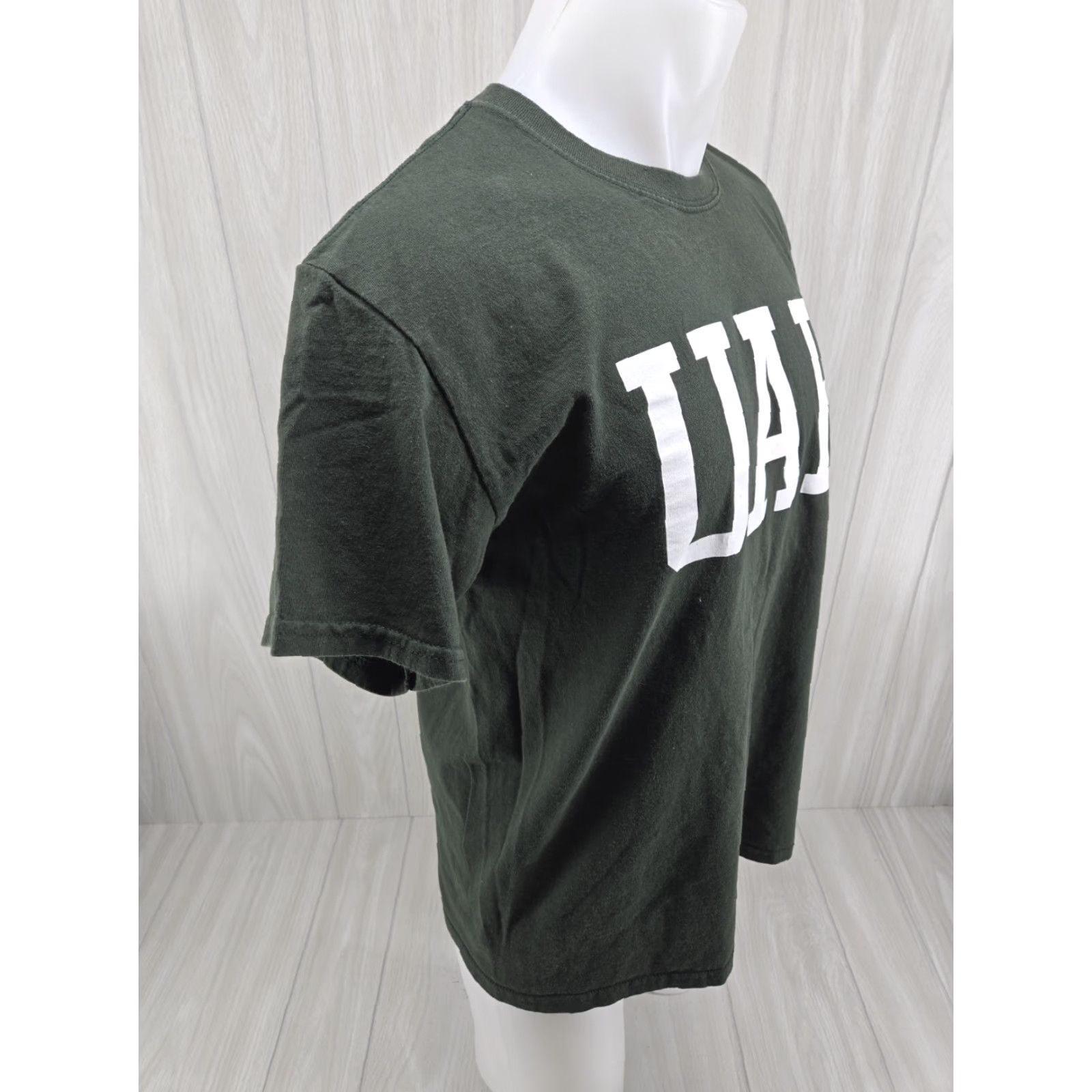 Gildan VINTAGE University of Alabama at Birmingham Blazers Green 2025 Short Sleeve T-Shirt Mens L Green University 90s Event Theme T-Shirt Size US L / EU 52-54 / 3 - 6 Thumbnail