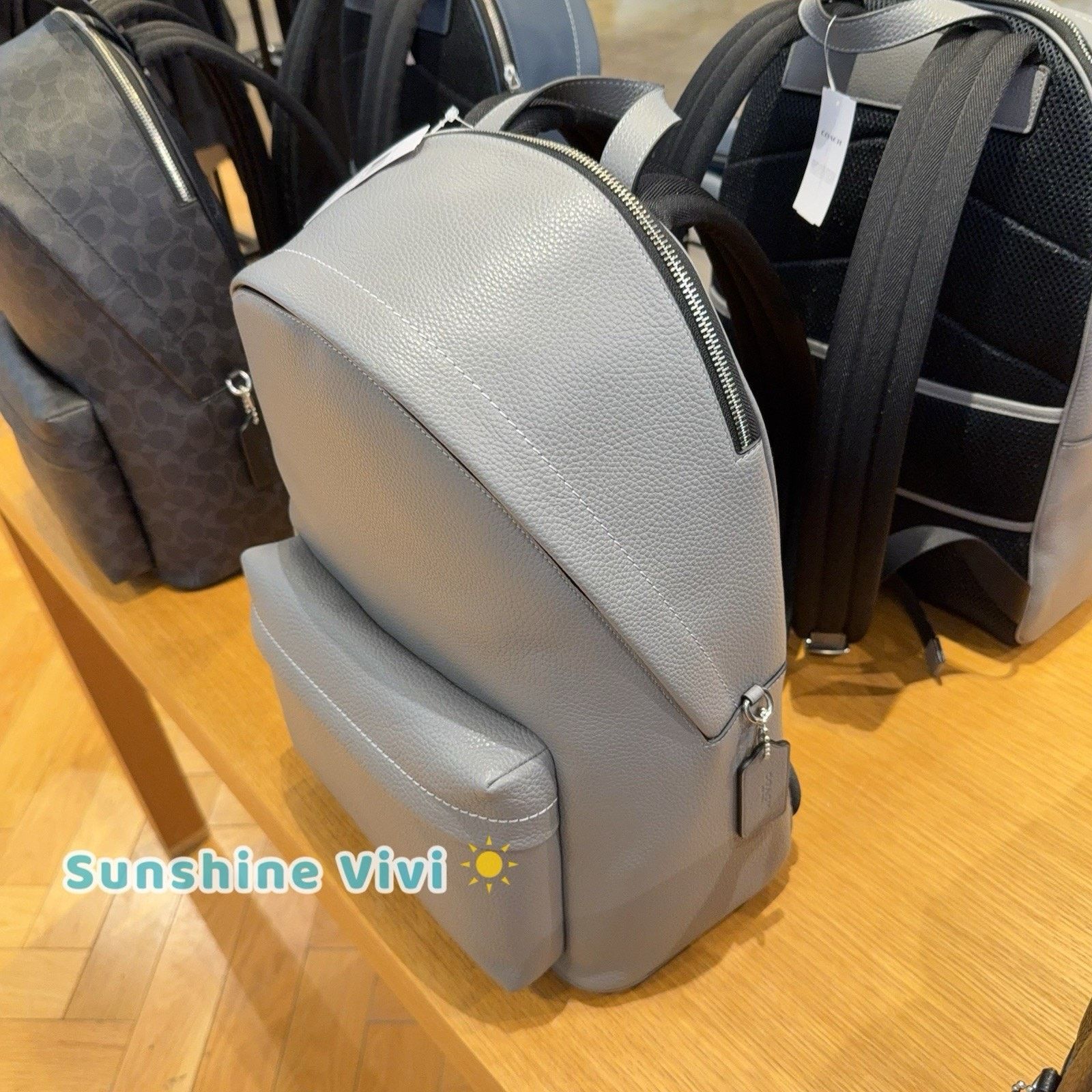 Coach NWT Coach Taylor Backpack In Leather CDX93 Silver/Graphite Size ONE SIZE - 6 Thumbnail
