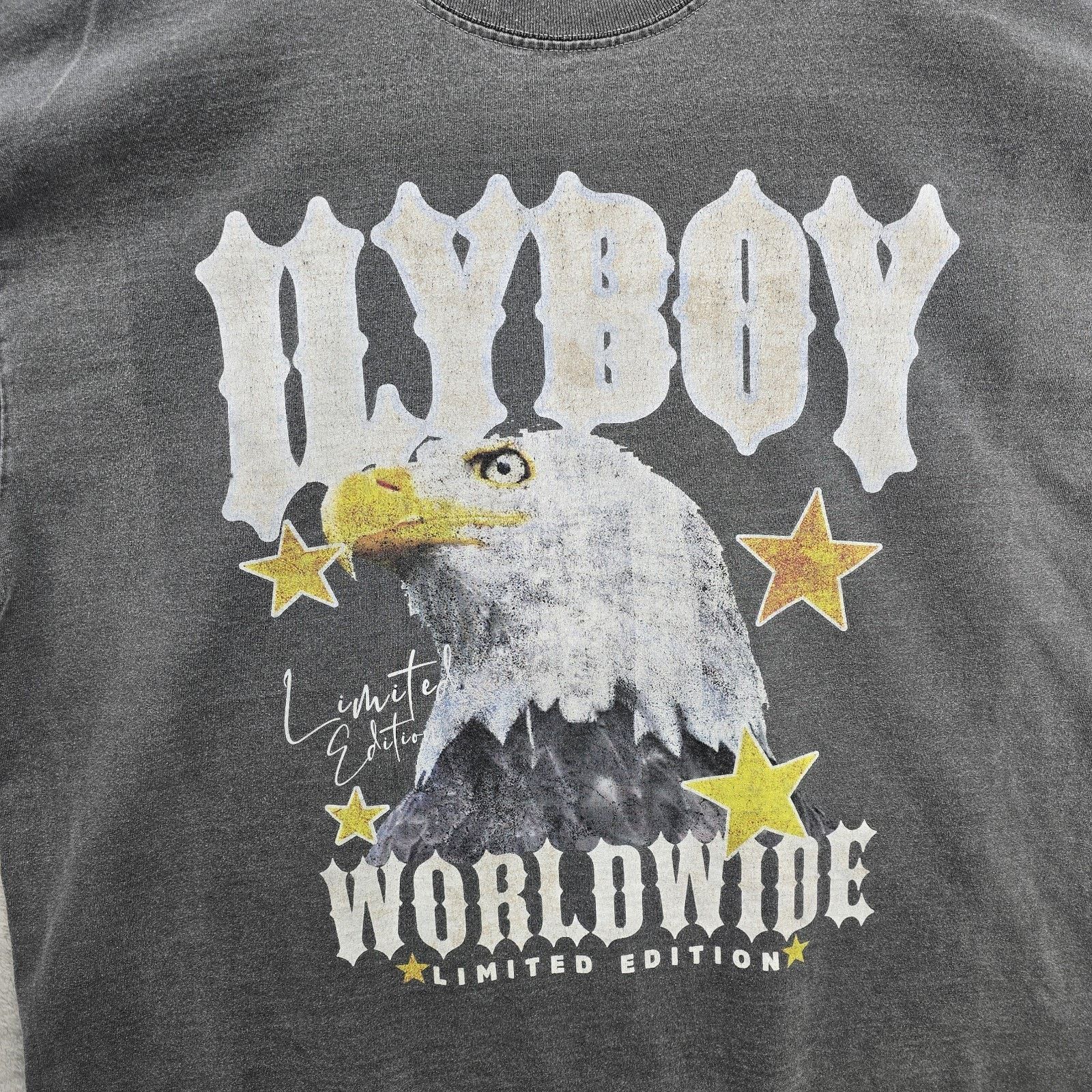 Other ILBOY Worldwide Oversized Tee Shirt Mens Large Gray Eagle Size US L / EU 52-54 / 3 - 2 Thumbnail