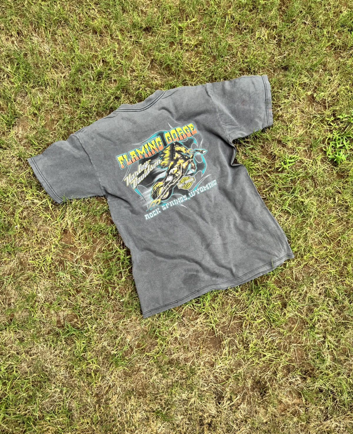Harley Davidson VTG Harley Davidson Flaming Gorge T-shirt Size US L / EU 52-54 / 3 - 1 Thumbnail