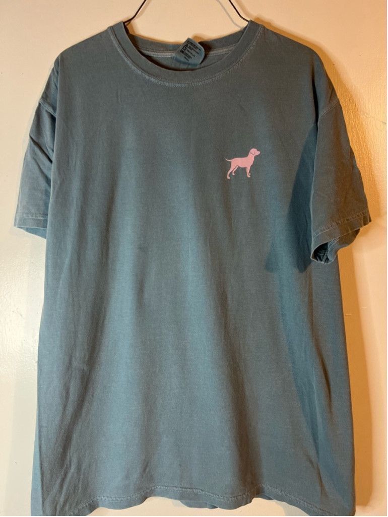 Comfort Colors Men's Comfort Colors T-Shirt Size M Blue Gray Dog Graphic Size L / US 10 / IT 46 - 1 Thumbnail