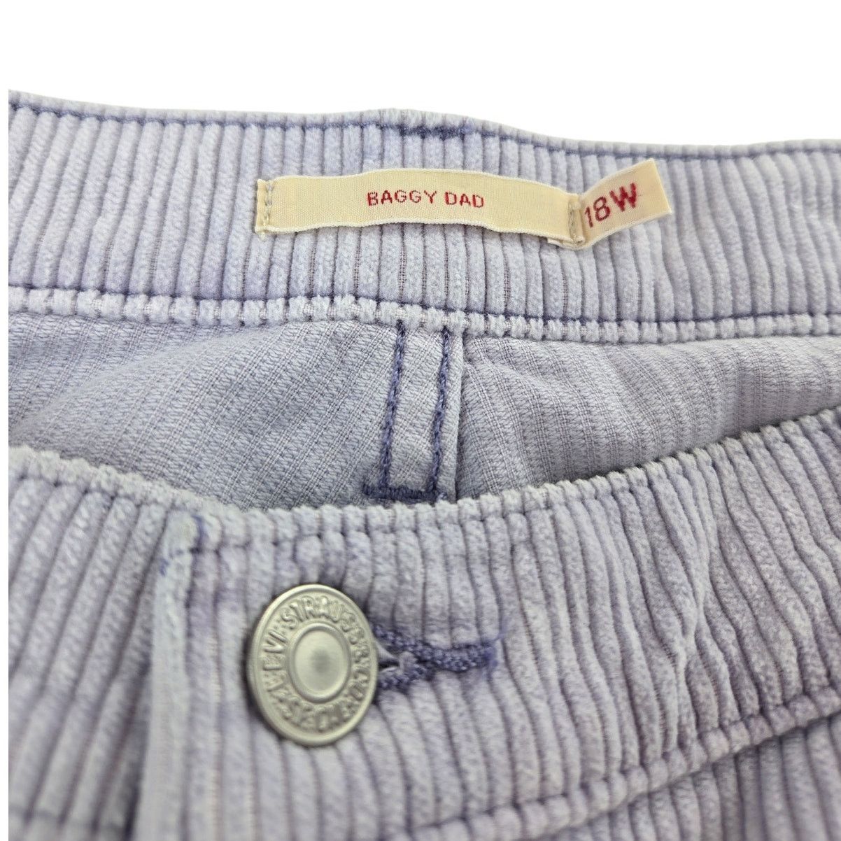 Levi's Levi's | Blue Baggy Dad Cords | Size 18W Size 40" / US 18 - 3 Thumbnail