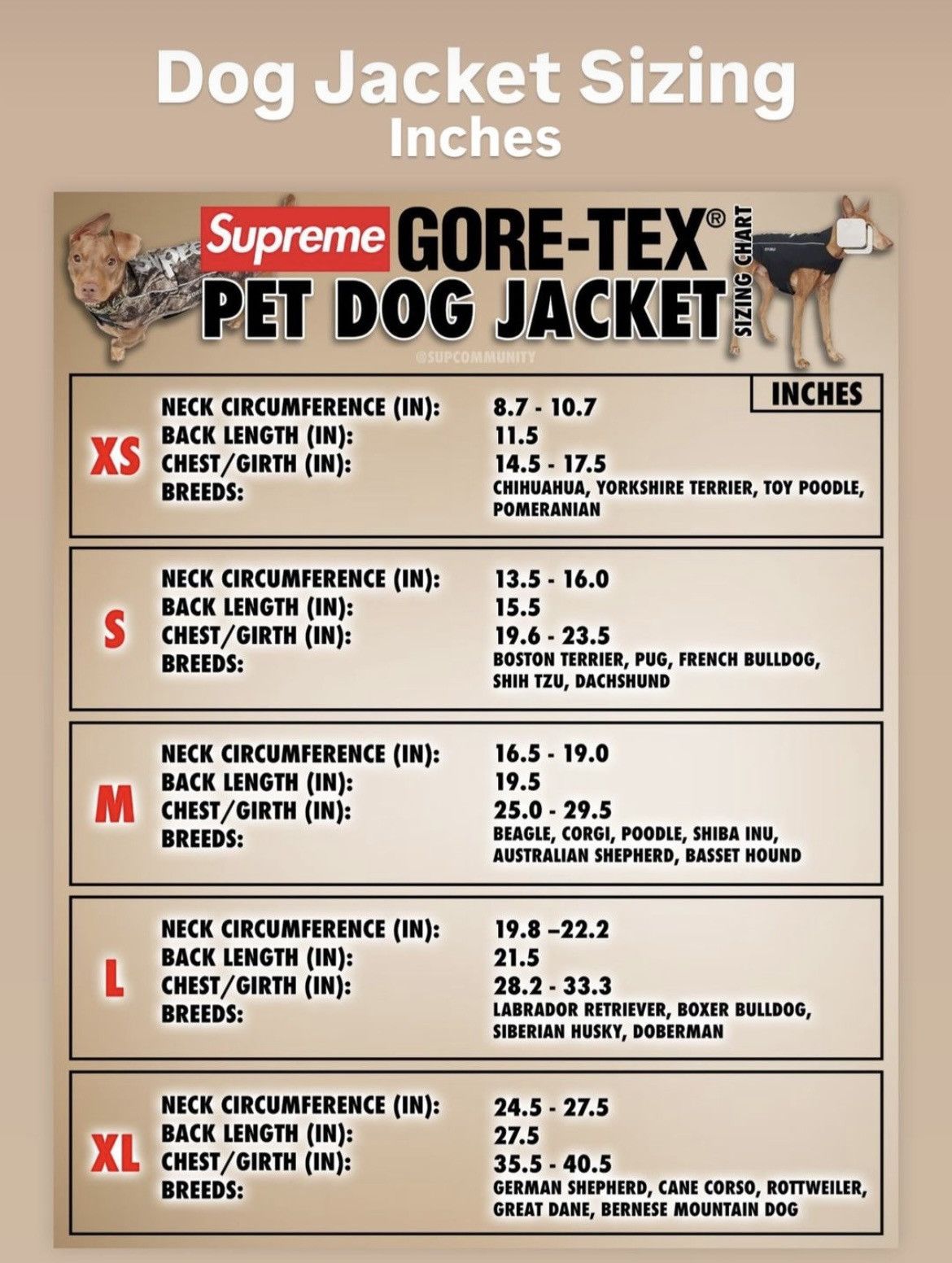 Supreme Supreme GORE-TEX Dog Jacket Coat TrueTimber HTC Fall Camo Size ONE SIZE - 4 Thumbnail