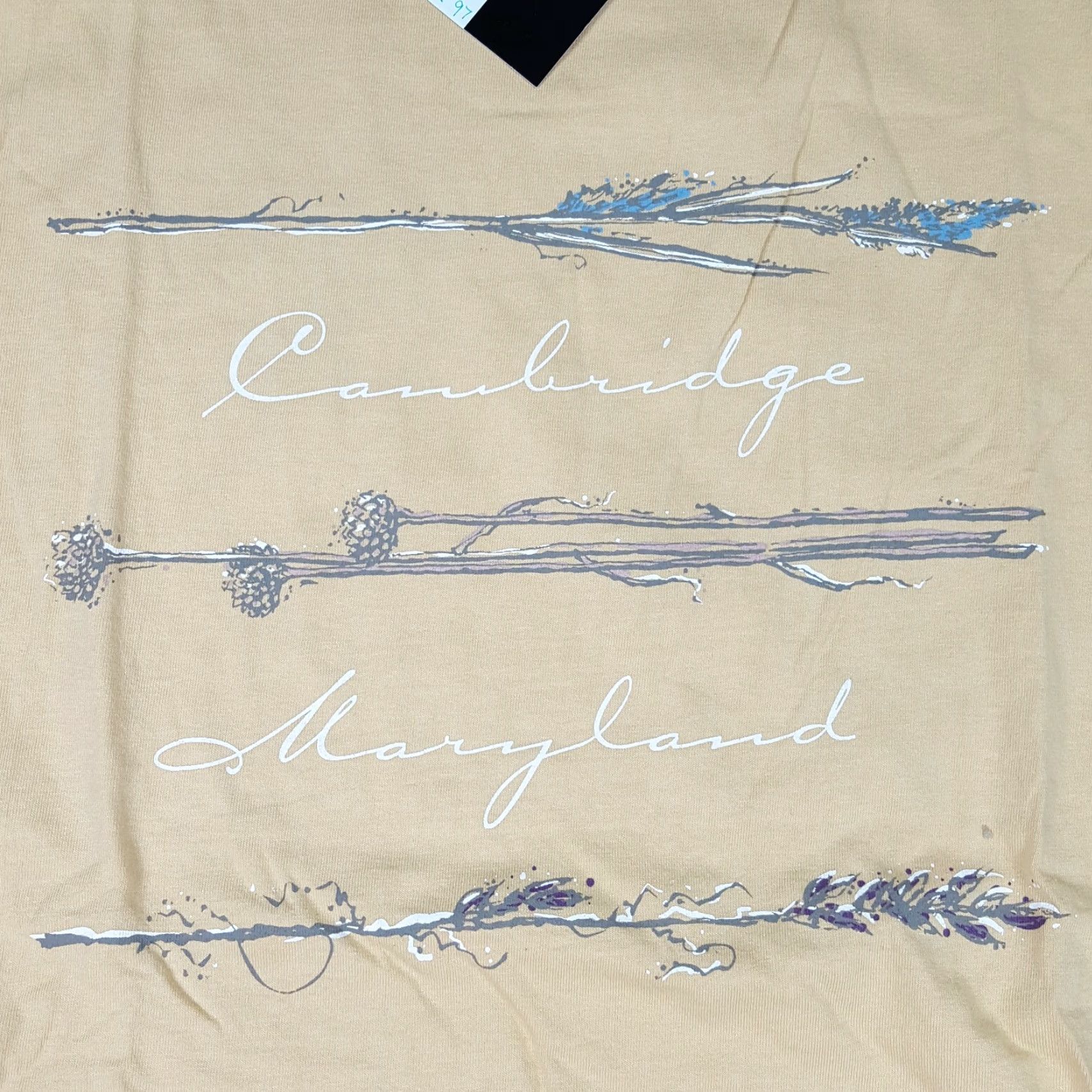 Vintage VINTAGE Cambridge Maryland Y2K Men's Size Large USA Made University T Shirt Size US L / EU 52-54 / 3 - 3 Thumbnail