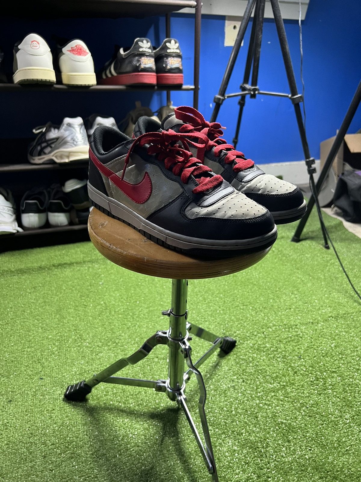 spike lee nike dunks
