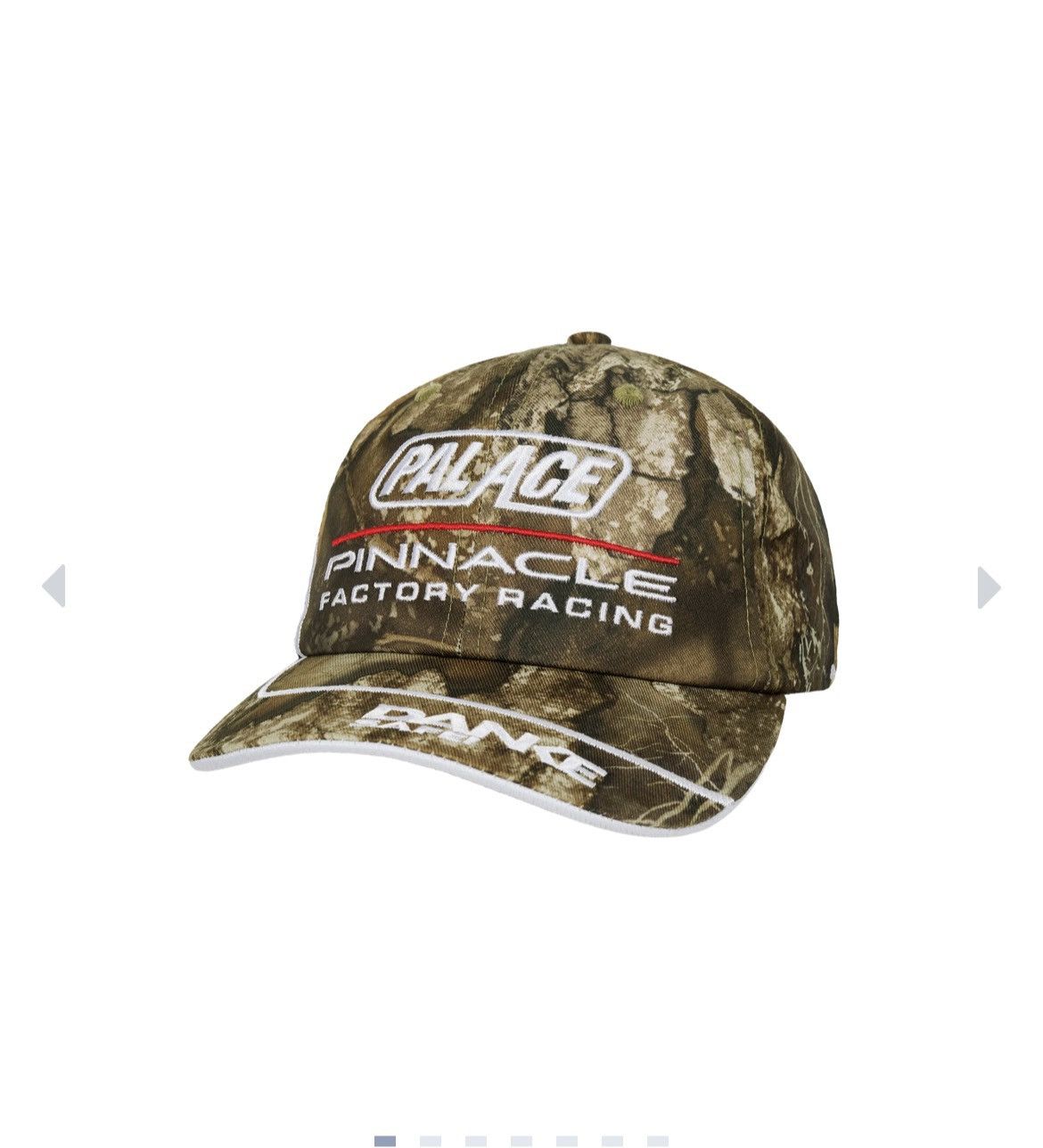 Palace Palace x Realtree Danke hat Size ONE SIZE - 2 Thumbnail
