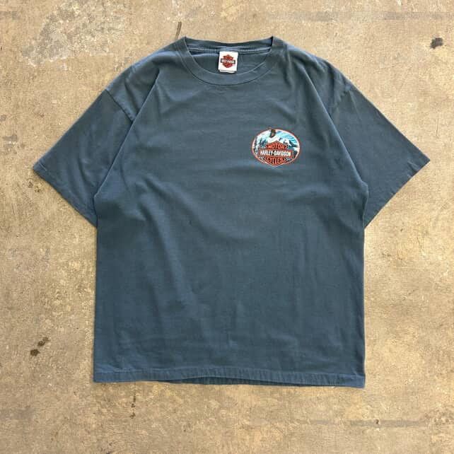 Harley Davidson Vintage Harley Davidson Alaska Tee XL Size US XL / EU 56 / 4 - 1 Thumbnail
