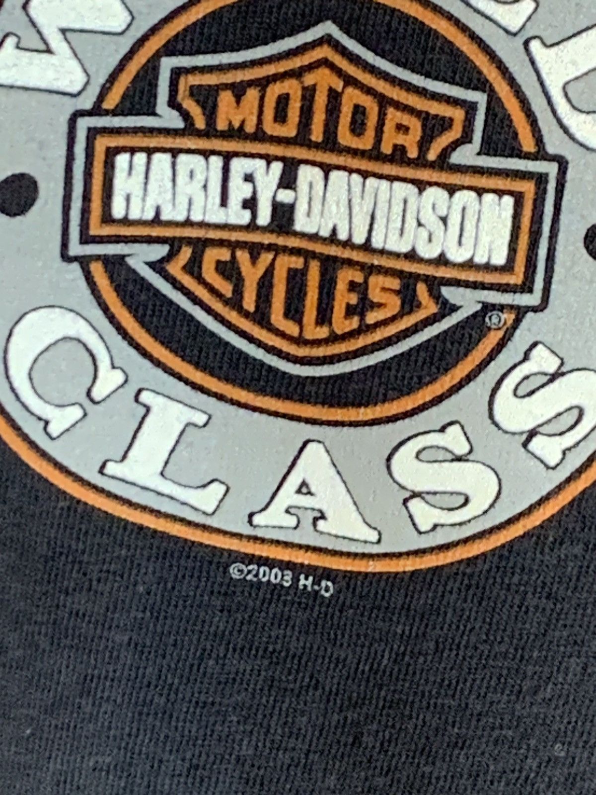 Harley Davidson *RARE* Vintage Harley Davidson Eagle’s Nest USA-Made T-Shirt Size US XL / EU 56 / 4 - 6 Thumbnail