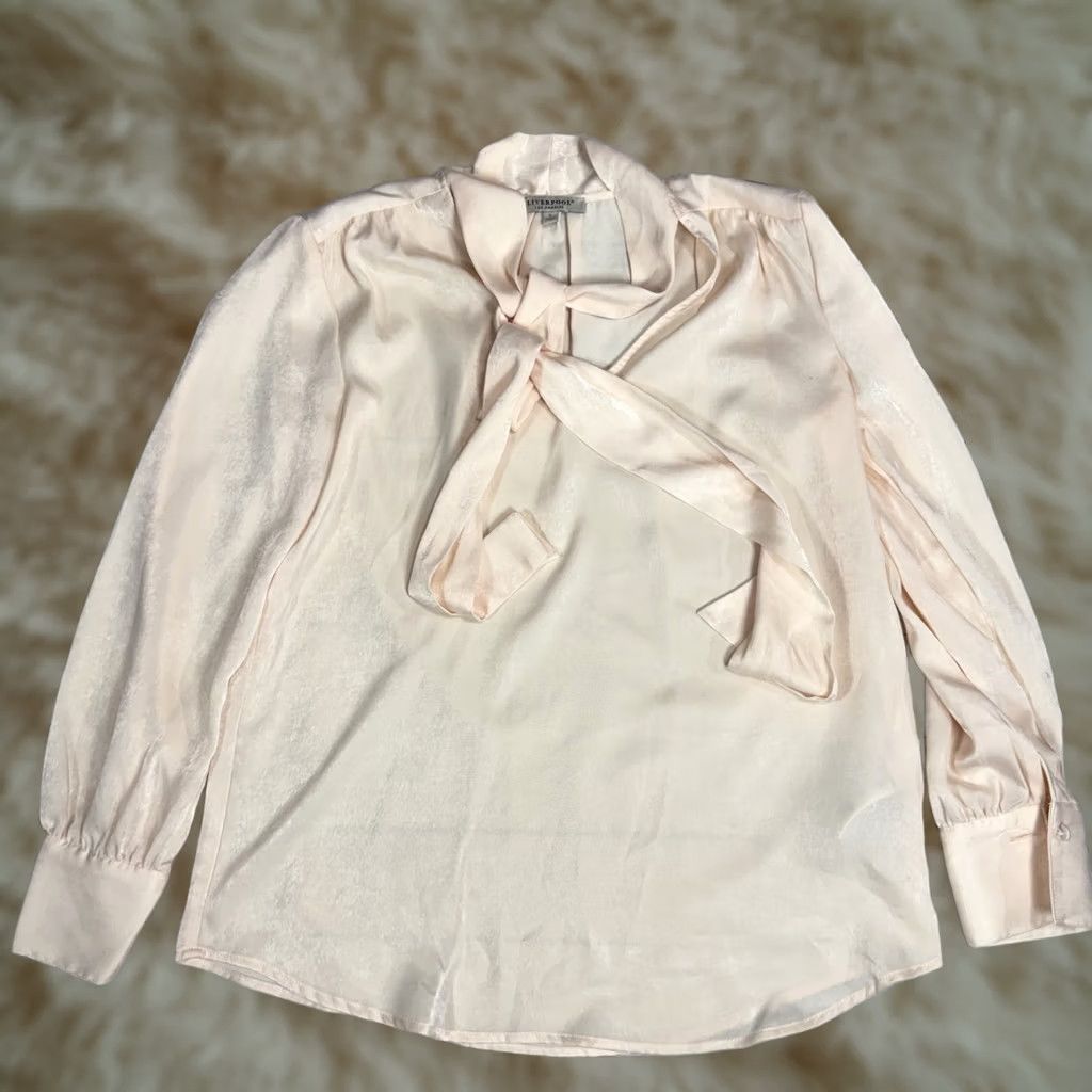 Vintage Liverpool Pink Sheer Blouse Shirt Top Shimmer Long Puff Sleeve Tie Neck Sz S Womens Blouse Size S / US 4 / IT 40 - 1 Thumbnail