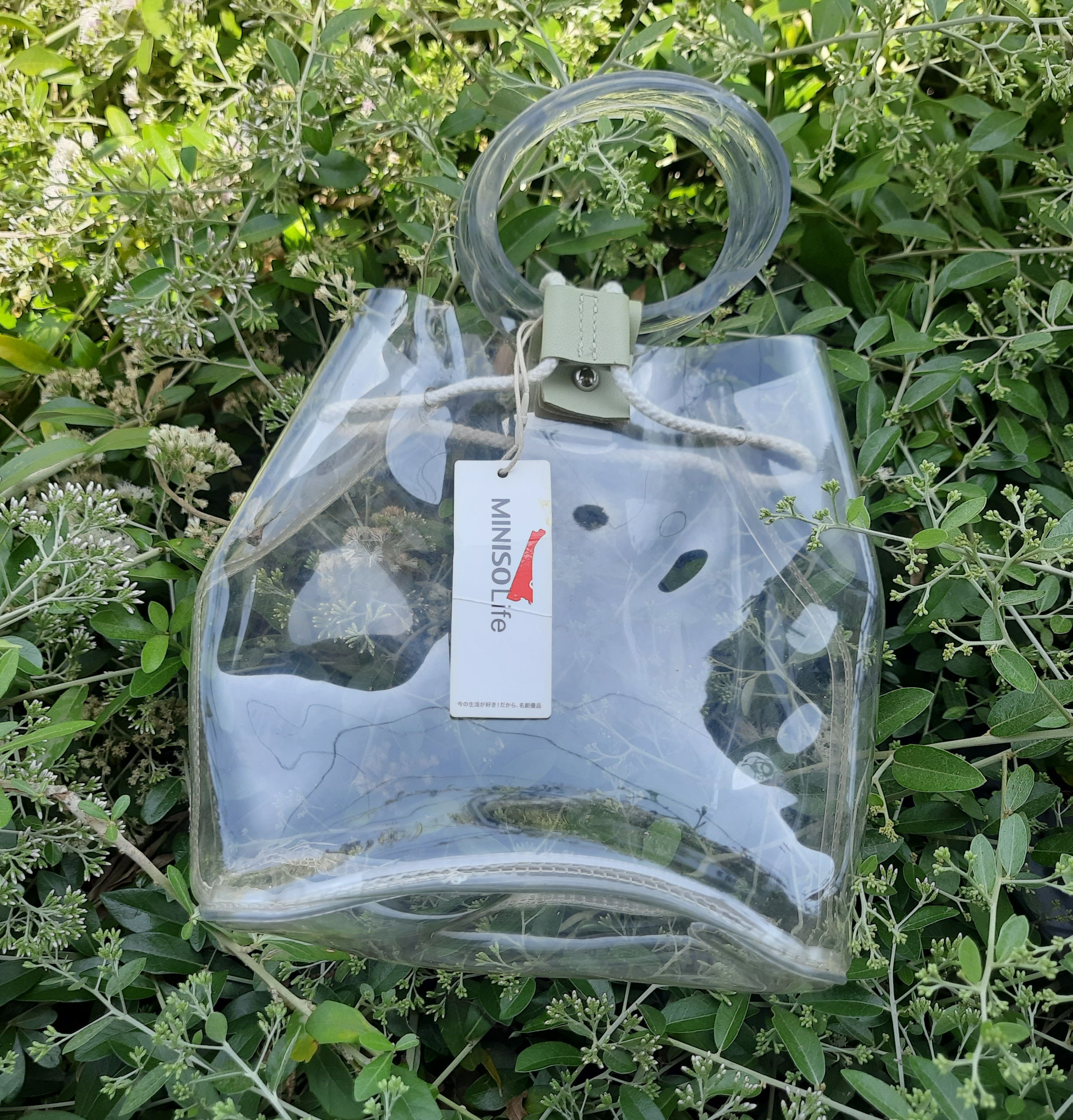 Y2K Minisolife Transparent Handle bag Grunge