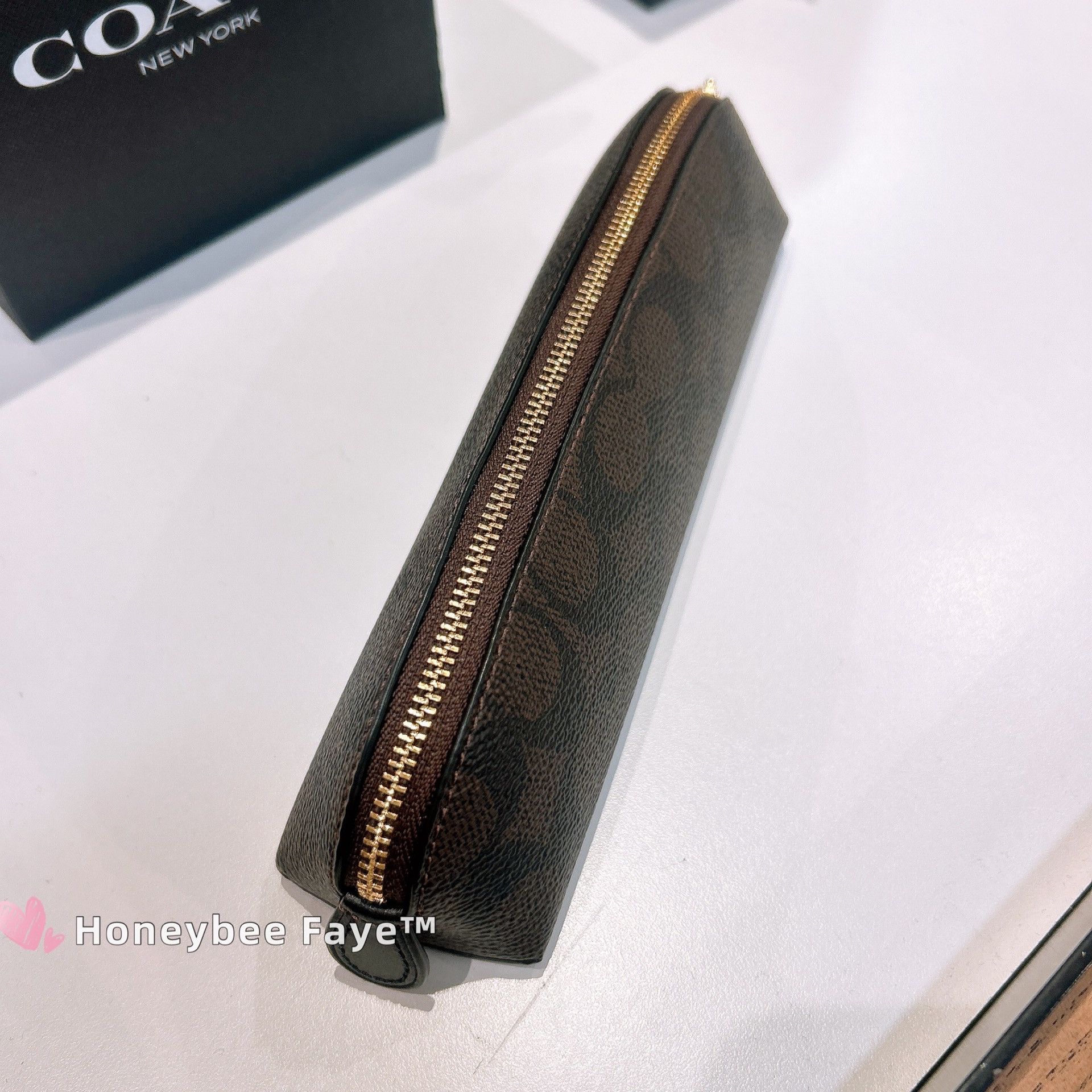 Pencil Case In Signature Canvas CZ206