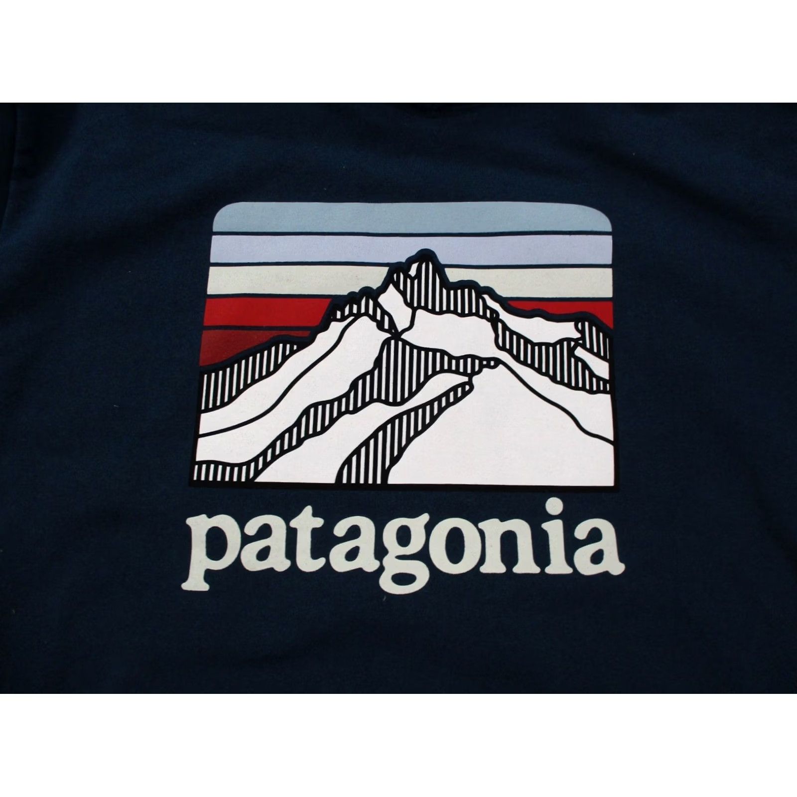 Patagonia Patagonia Hoodie Sweatshirt Men M Blue Logo Pullover Hooded Knit Thermal Casual Graphic Print 39584 Mens Size US M / EU 48-50 / 2 - 6 Thumbnail