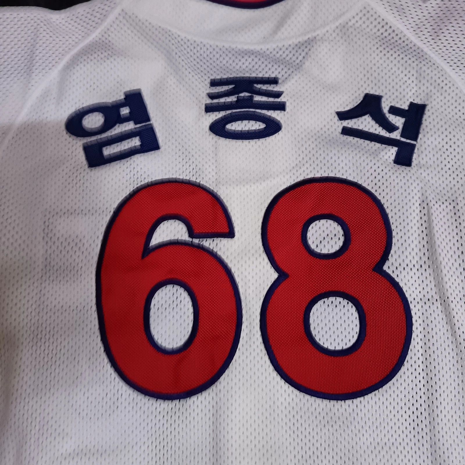 MLB Busan Lotte Giants Yeom Jong-Seok KBO Korean Baseball Jersey Size US L / EU 52-54 / 3 - 7 Thumbnail