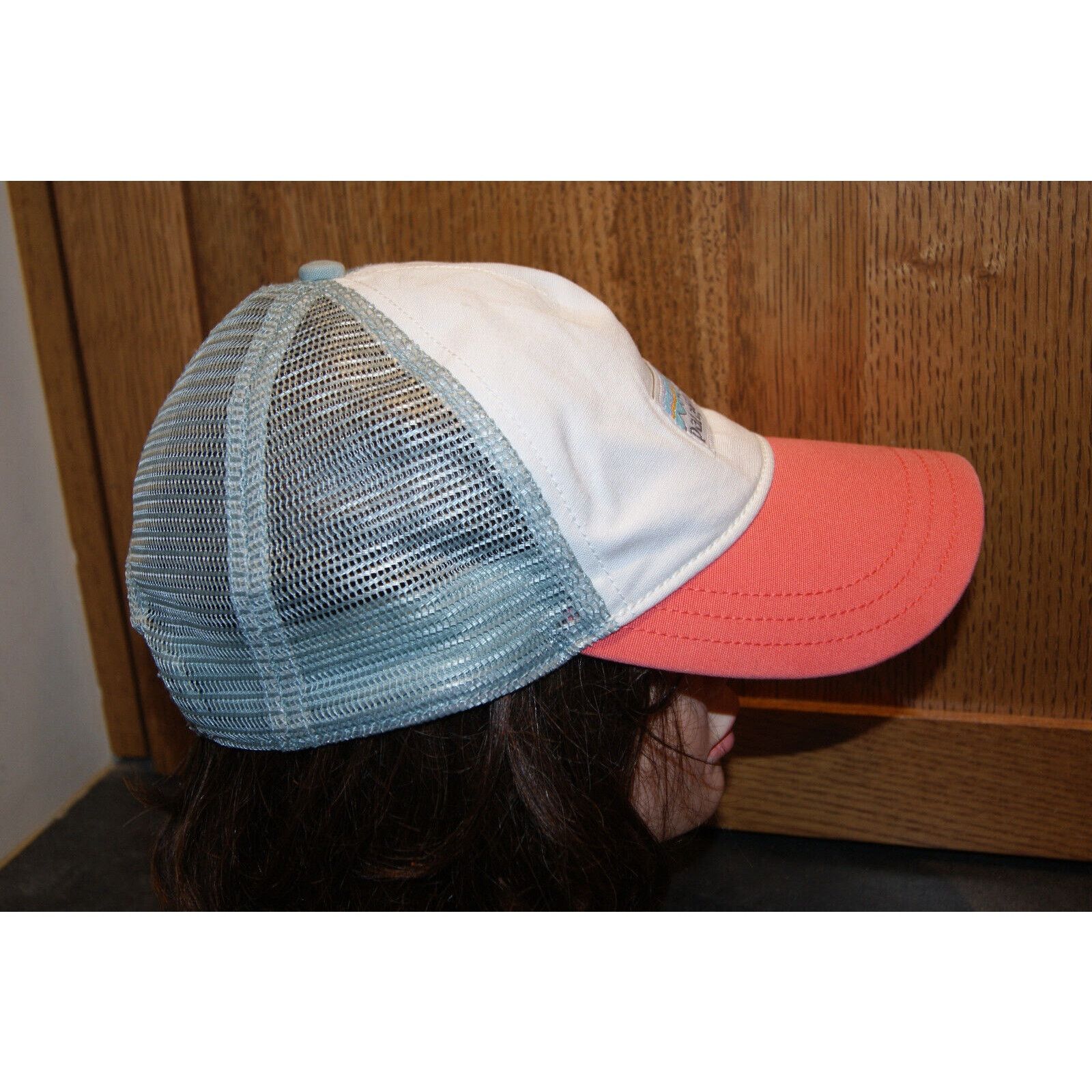 Patagonia Patagonia Mountain Logo Trucker Mesh SnapBack Hat Size ONE SIZE - 4 Thumbnail