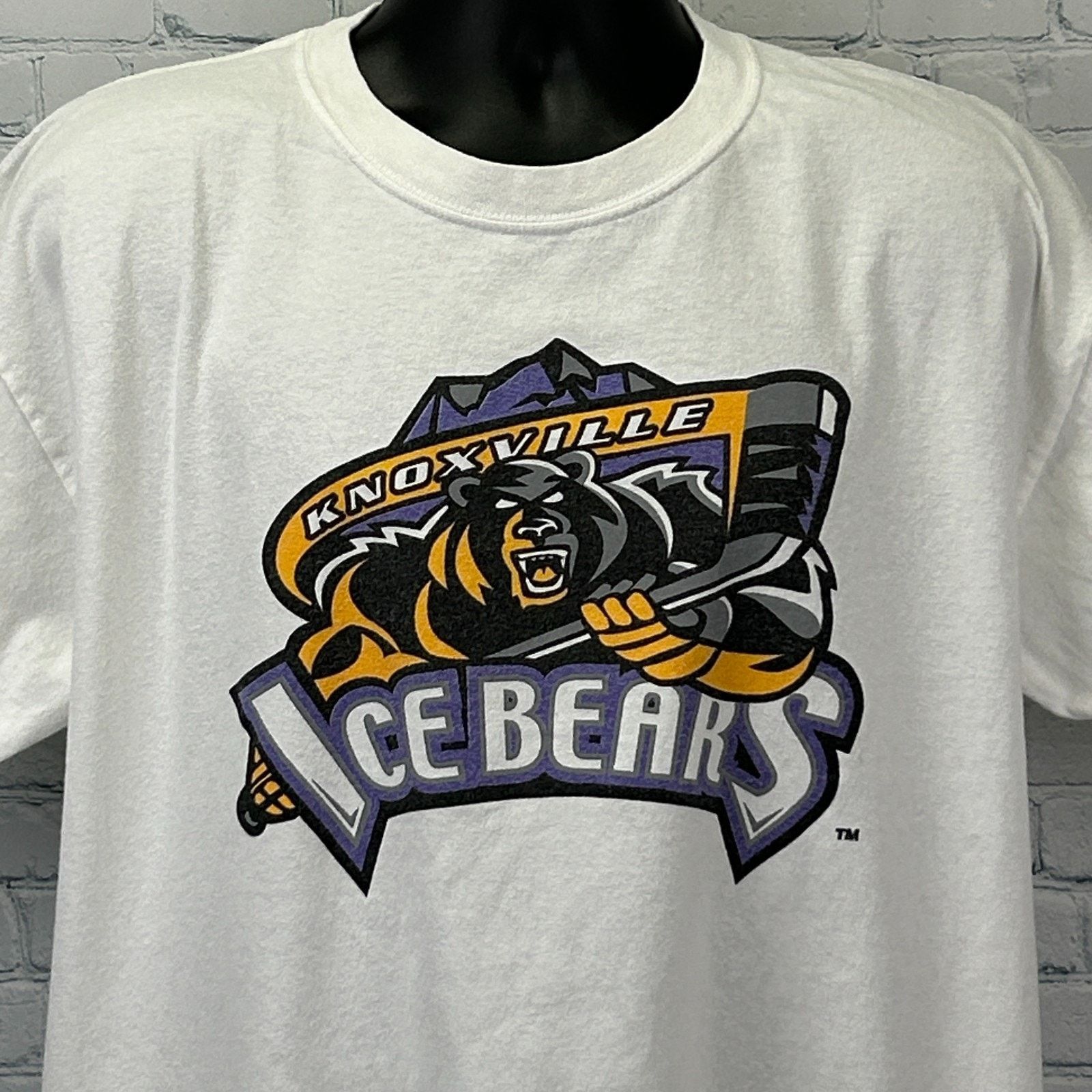 Gildan Vintage Y2Ks Knoxville Ice Bears T Shirt Ice Hockey White XL Size US XL / EU 56 / 4 - 1 Thumbnail