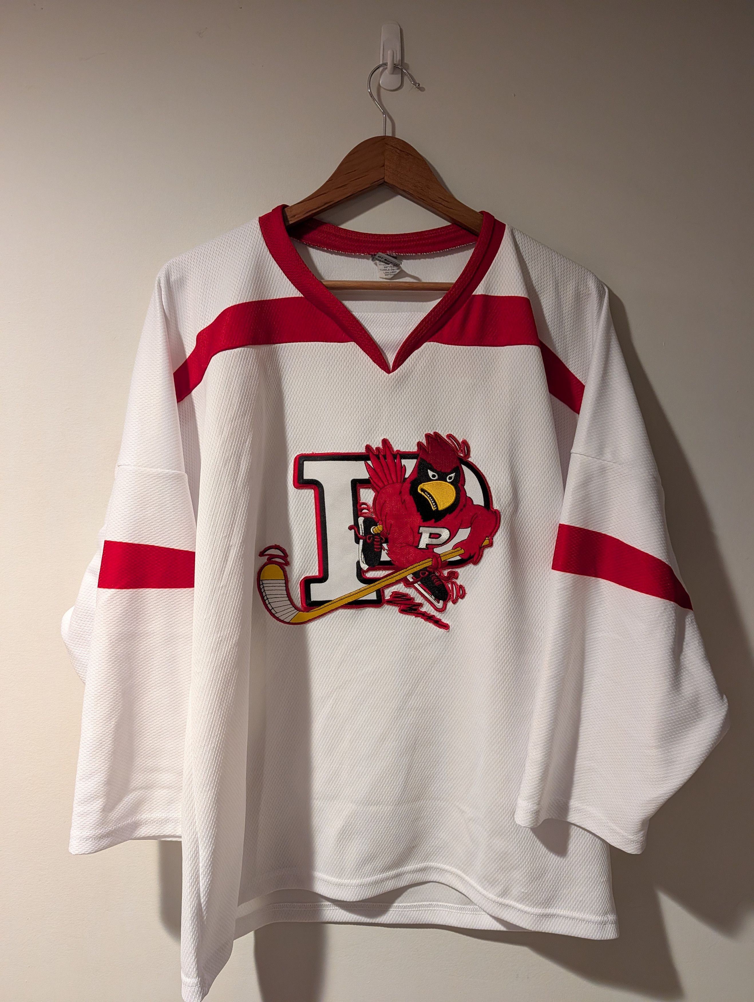 NHL VTG Plattsburgh State Cardinals Hockey Jersey NCAA Gorpcore Size US L / EU 52-54 / 3 - 1 Thumbnail