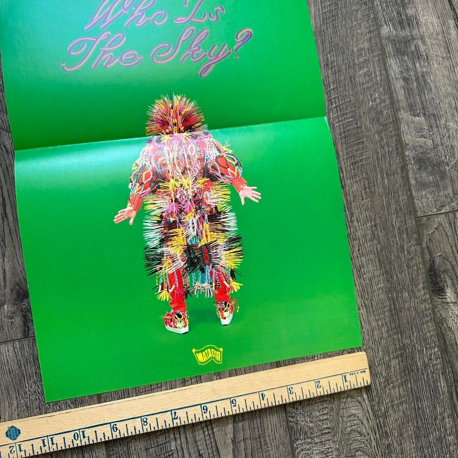 Other David Byrne Who Is The Sky Talking Heads Music Promo Poster Size ONE SIZE - 6 Thumbnail