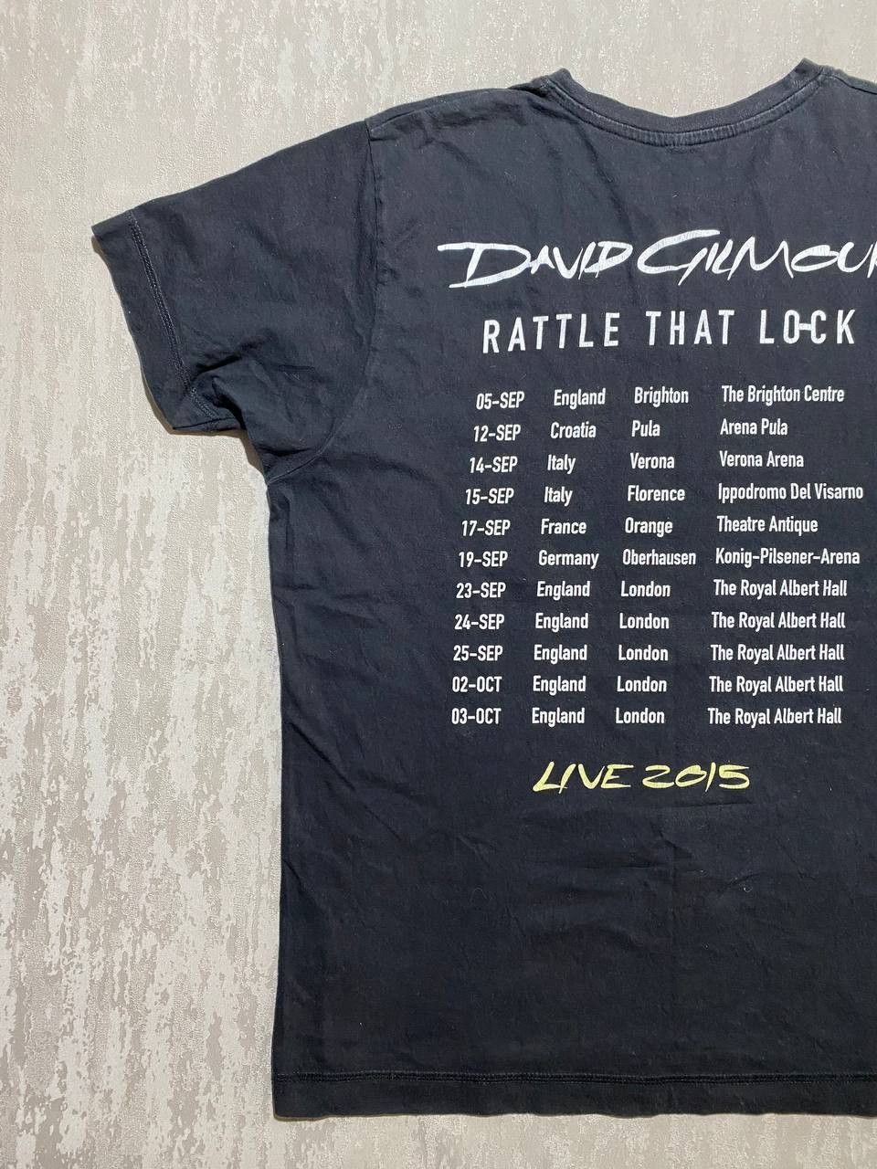 Band Tees × Pink Floyd Vintage 2015 David Gilmour (Pink Floyd AC/DC Deep Purple) Size US M / EU 48-50 / 2 - 8 Thumbnail