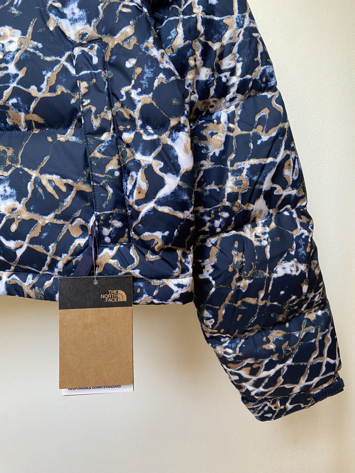 The North Face The North Face 1996 Retro Nuptse 700 Size M / US 6-8 / IT 42-44 - 4 Thumbnail