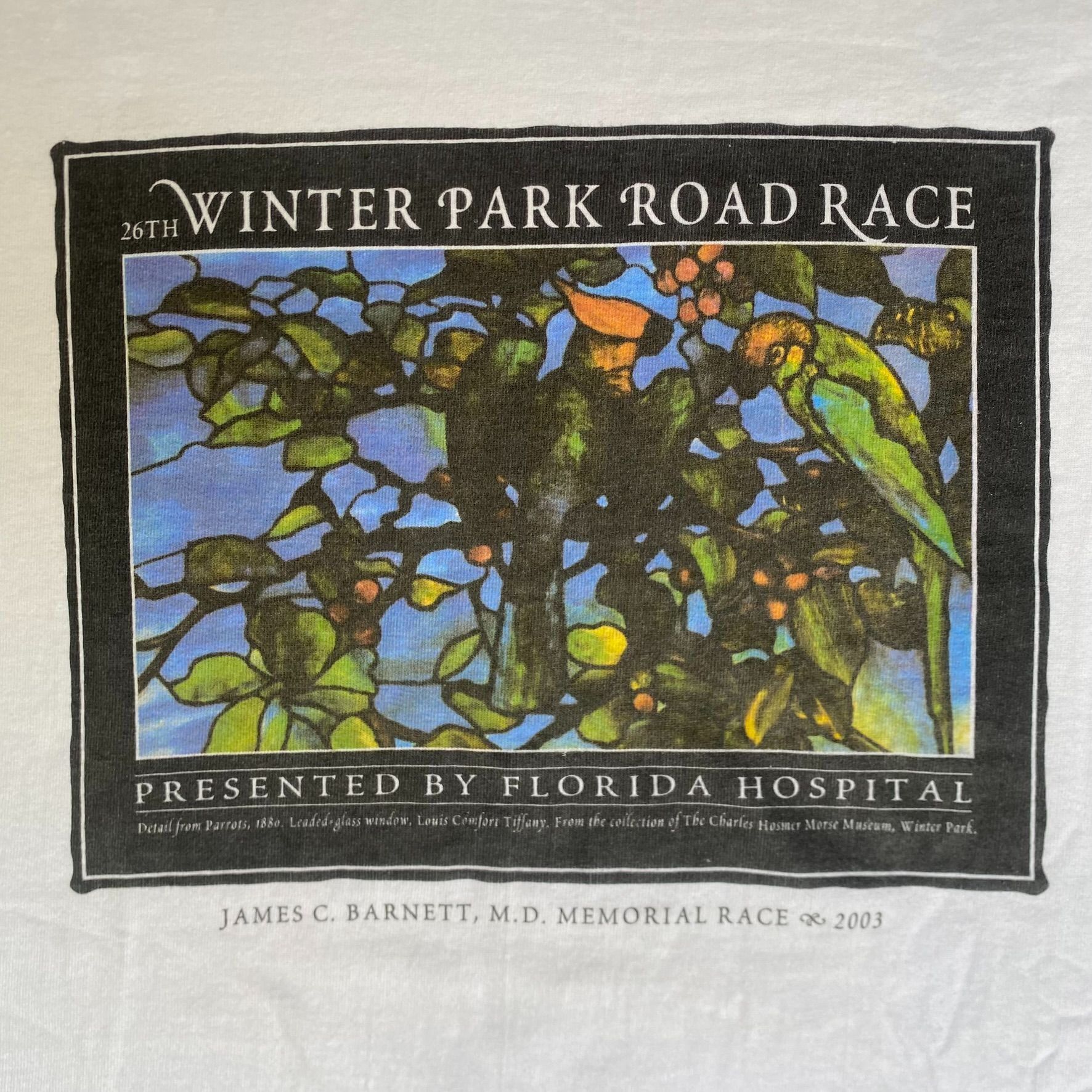 Hanes Vintage Y2K Birds Nature T-Shirt Wildlife Artwork Cottage Size US L / EU 52-54 / 3 - 2 Thumbnail