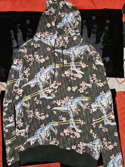 Dior Dior sorayama oblique dinosaur Hoodie Grailed