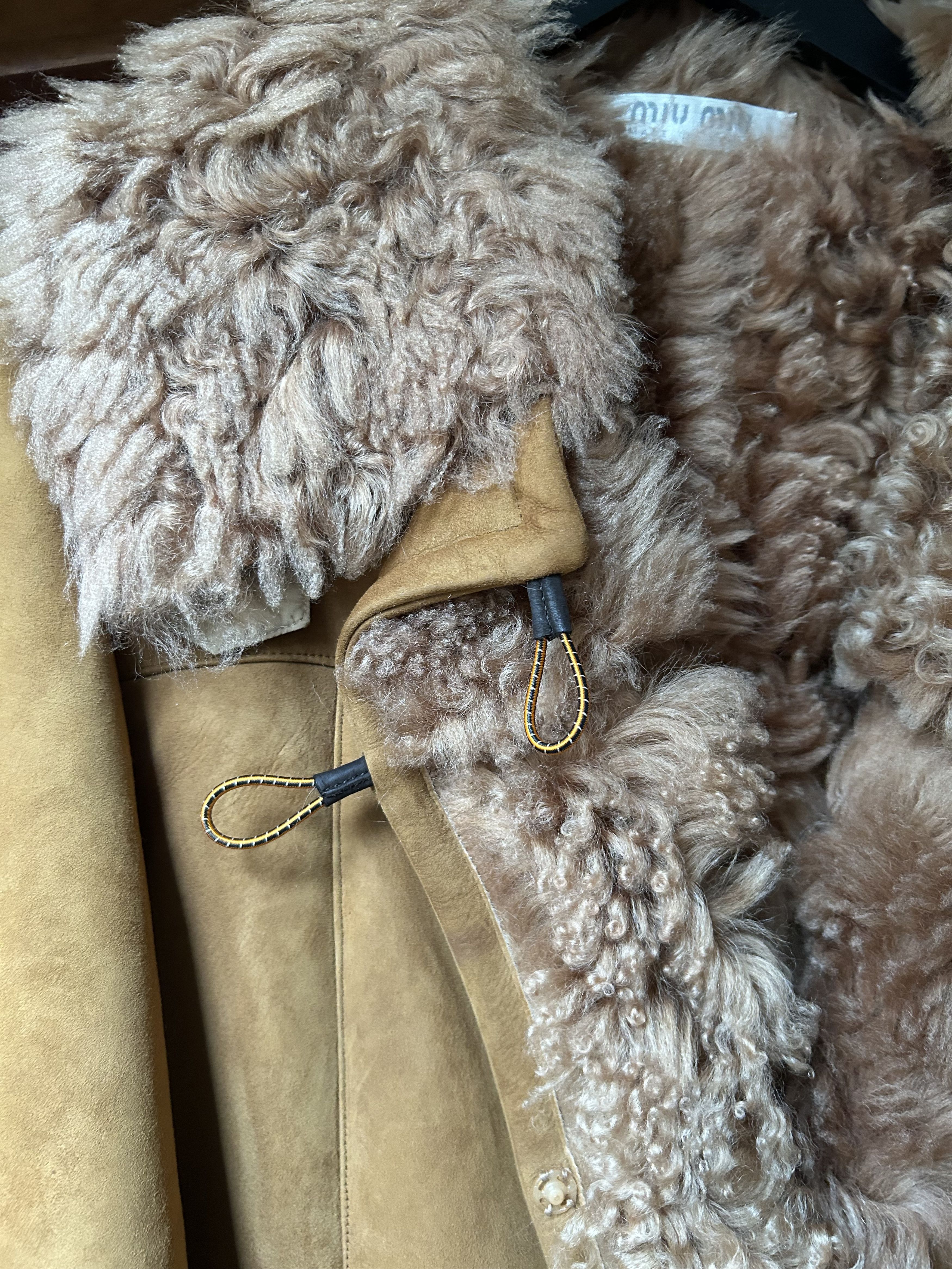 Prada Luxurious Sheepskin/lambs wool full length coat-one off Size M / US 6-8 / IT 42-44 - 4 Thumbnail