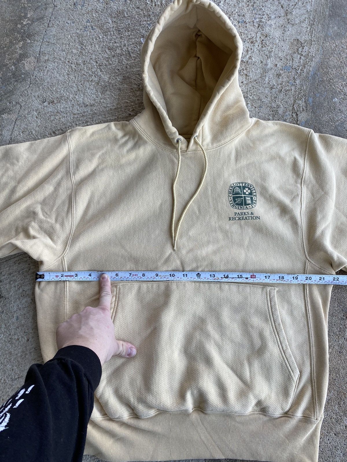 Champion × Vintage Vintage Y2K Champion Reverse Weave Charlottesville VA Hoodie Size US M / EU 48-50 / 2 - 10 Thumbnail