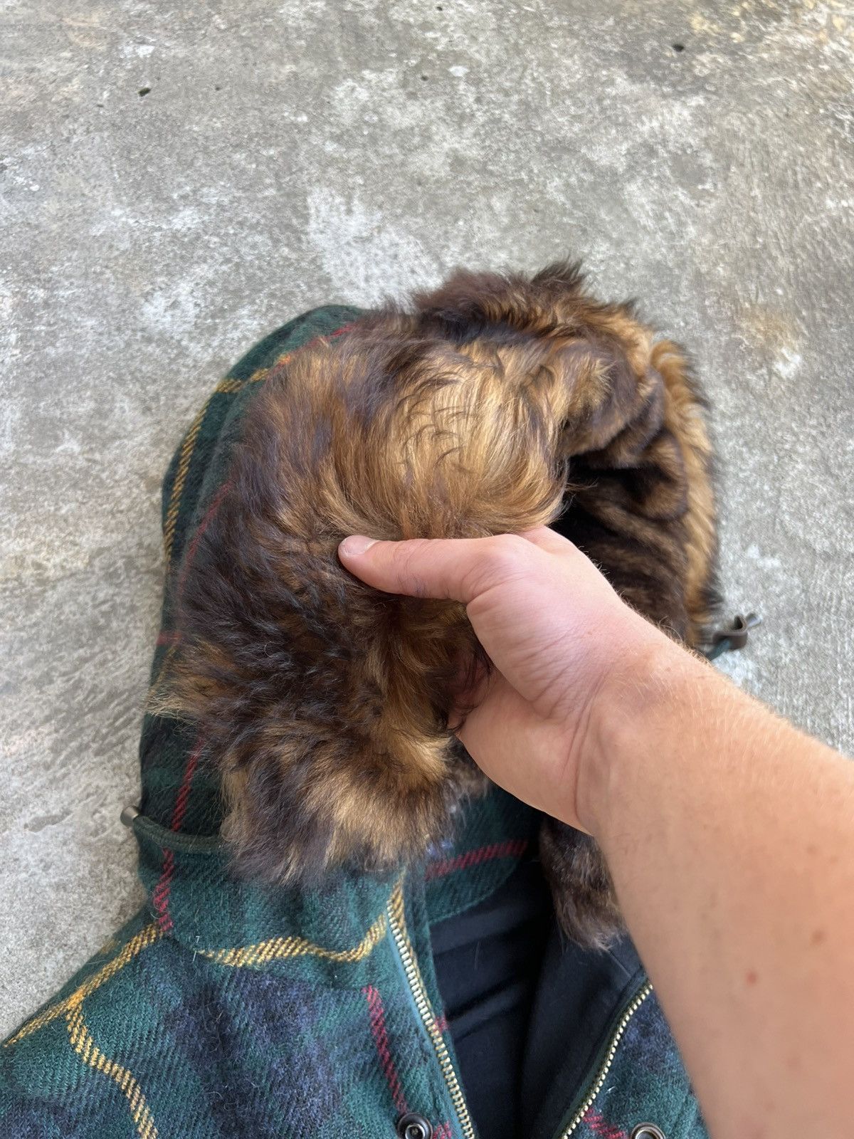 Ralph Lauren Blue Label × Vintage Ralph Lauren Blue Label Wool & Alpaca Blend Real Fur Jacket Size L / US 10 / IT 46 - 17 Thumbnail