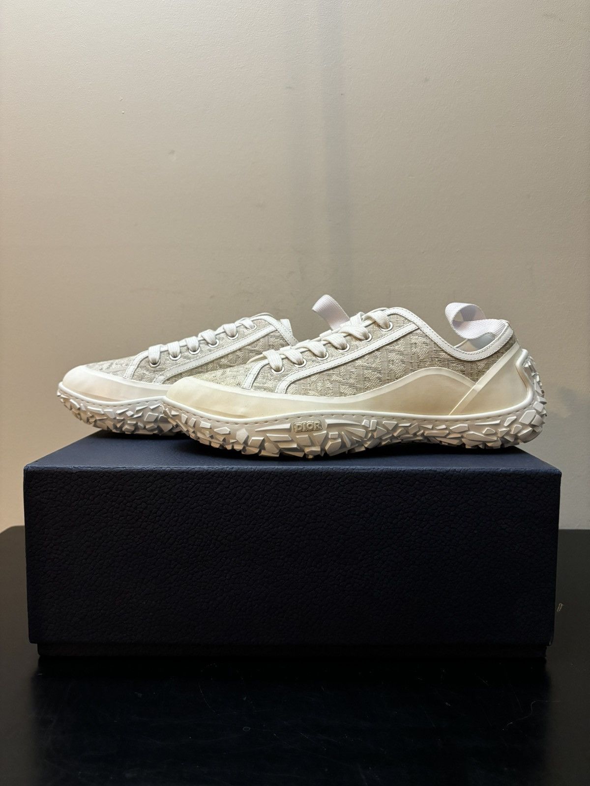 Dior B28 Low Oblique Monogram White