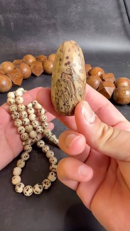 Vintage Natural antique oud natural cruciferous treenaturally Size ONE SIZE - 5 Thumbnail